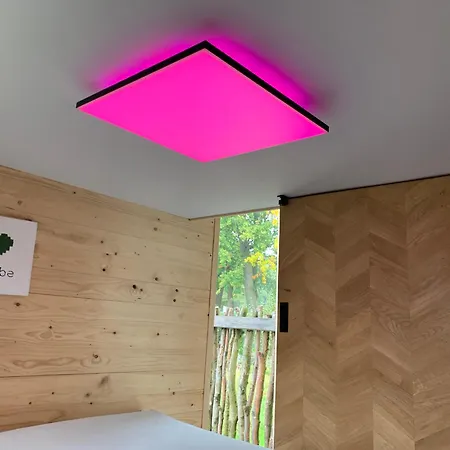 Zirkuswagen Auf Raedern, Tinyhouse, Tinyhaus, Auf Gruener Wiese, Laendlich, Nahe Hamburg, Lyxtält *