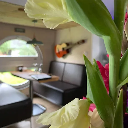 Zirkuswagen Auf Raedern, Tinyhouse, Tinyhaus, Auf Gruener Wiese, Laendlich, Nahe Hamburg Hammah