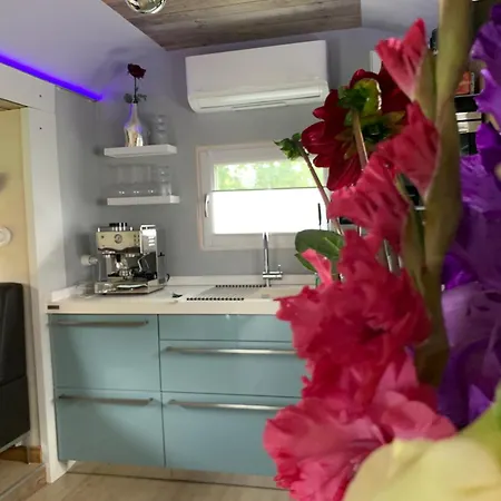 Luxuszelt Zirkuswagen Auf Rädern, Tinyhouse, Tinyhaus, Auf Grüner Wiese, Ländlich, Nahe Hamburg *