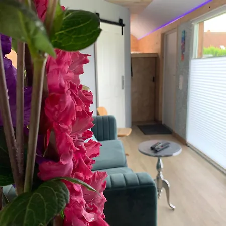 Zirkuswagen Auf Rädern, Tinyhouse, Tinyhaus, Auf Grüner Wiese, Ländlich, Nahe Hamburg Luxuszelt *